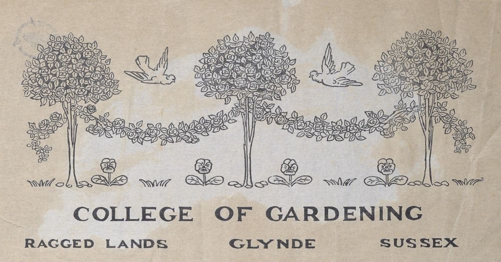 Headed notepaper with illustrated trees and birds. The text says 'College of Gardening: Ragged Lands, Glynde, Sussex'.