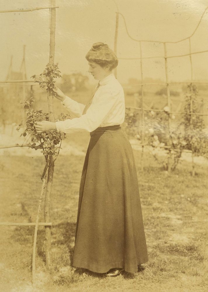 Sepia photo of a Frances Wolseley in a long skirt tending a plant on a trellis outdoors.