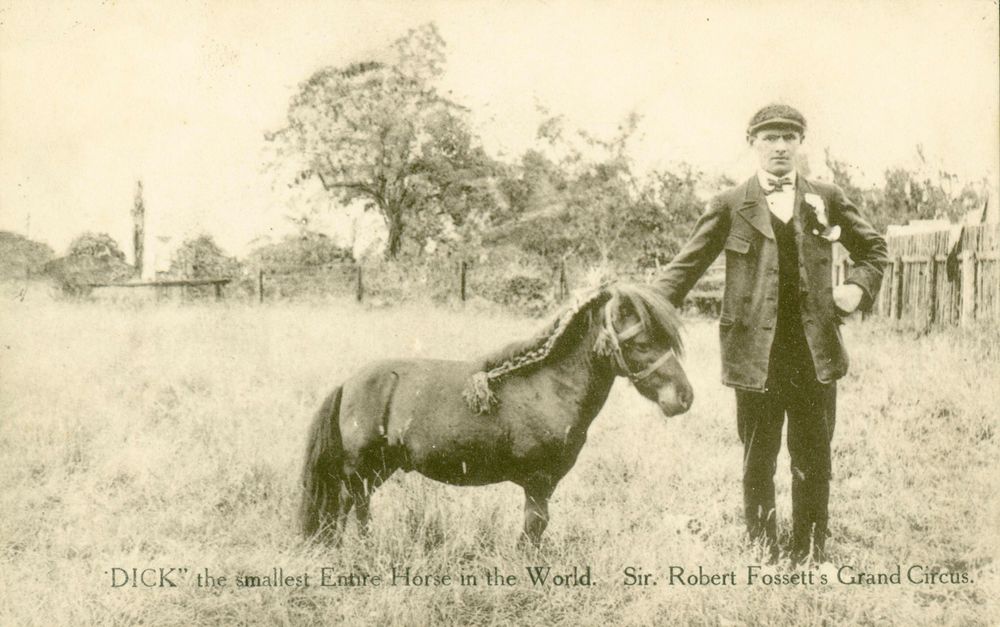 A man stands next a small horse. The caption reads: "'Dick', the smallest Entire Horse in the World. Sir Robert Fossett's Grand Circus."