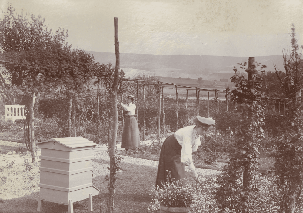 Sepia photo of two women working in a garden with trellises and a beehive.